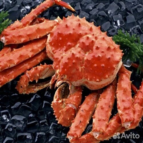 Краб камчатский весь краб здесь