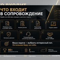 Аукционный брокер. Агент на торги по банкротству, Сергиев Посад