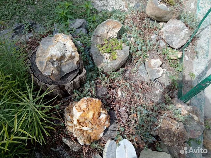 Аммониты. Септарии. Жеоды. Барит. Окаменелости