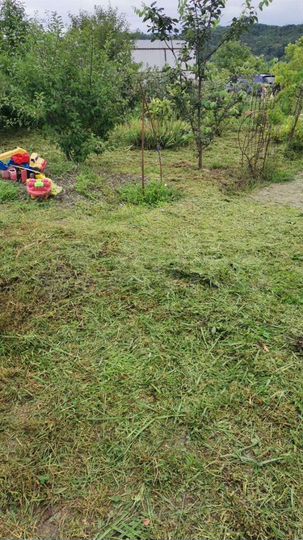 Участок 7 сот. (ИЖС)