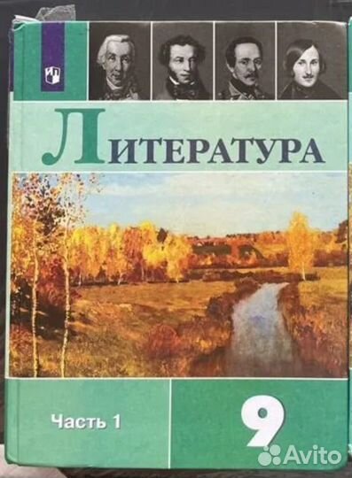 Книга по литературе 9 класс