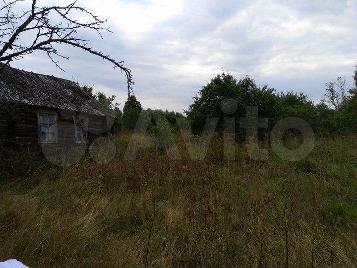 Участок 50 сот. (ИЖС)