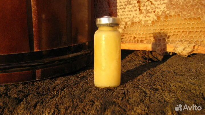 Нативное маточное молочко