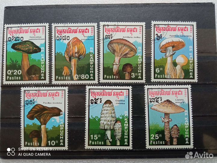 Марки на тему флора