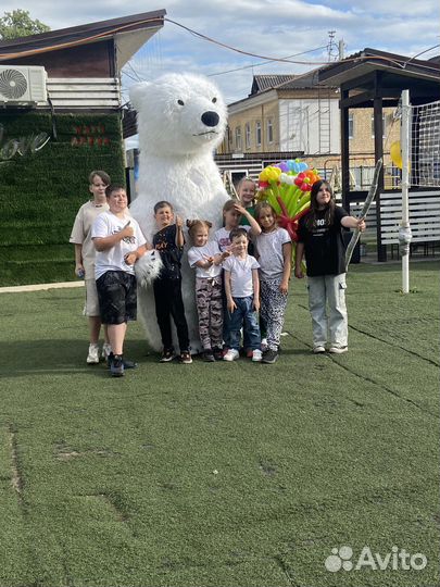 Ростовой медведь на день рождения