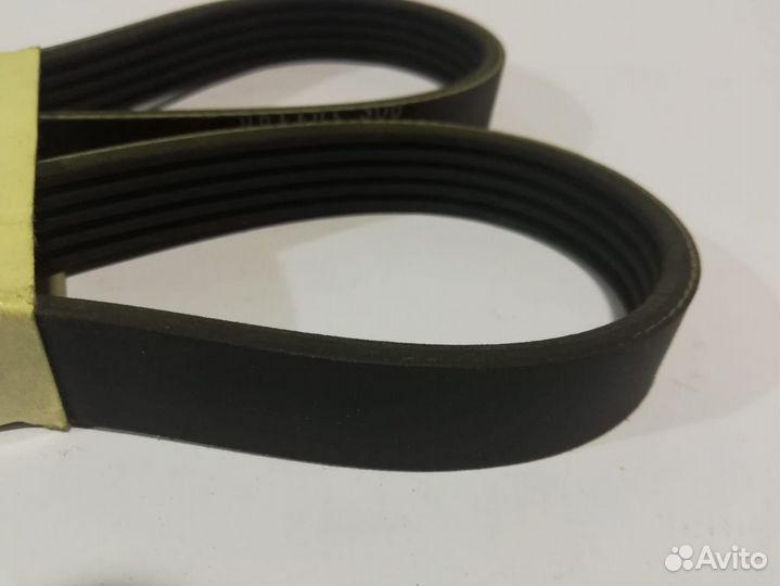 Ремень поликлиновый Freelander