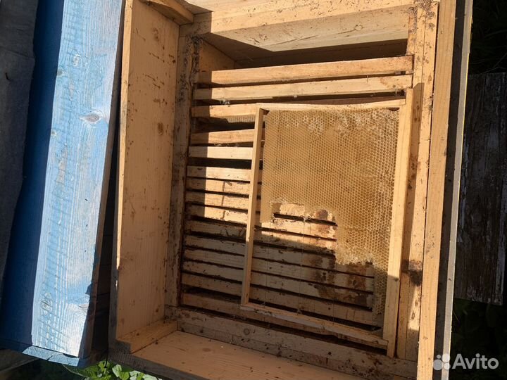 Пчелиный улей