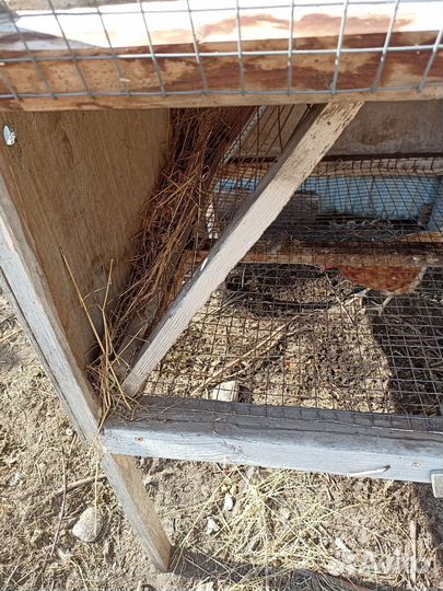 Клетка для кроликов, кур, цыплят