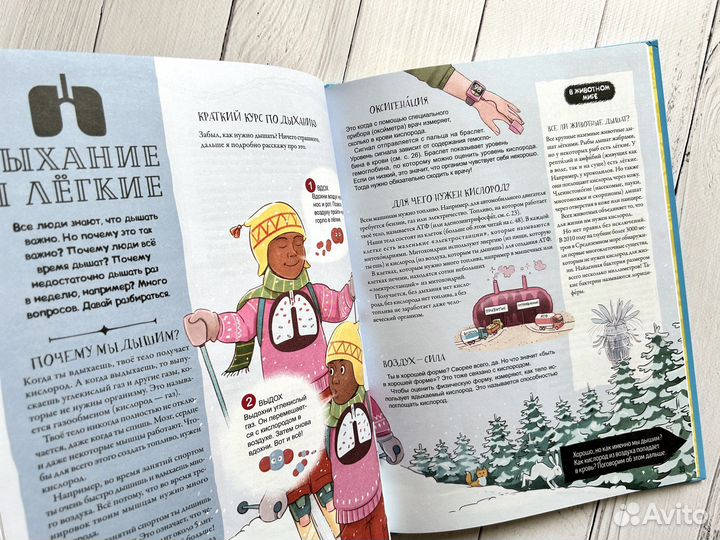 Как устроено Детские книги