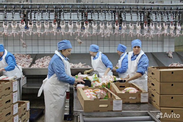 Вахта в Челябинской обл. От 20 смен.Грузики