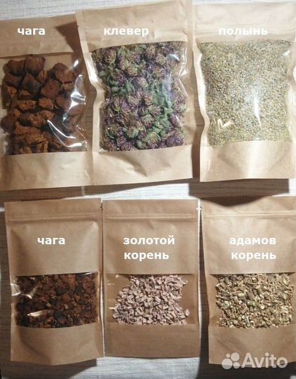 Травы. Грибы. Ягоды. Чага. Сбор 2023