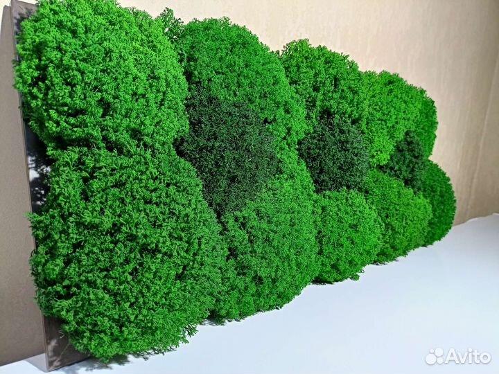 Картина (пано) из стабилизированного мха