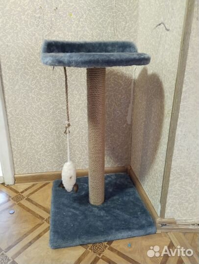 Когтеточка