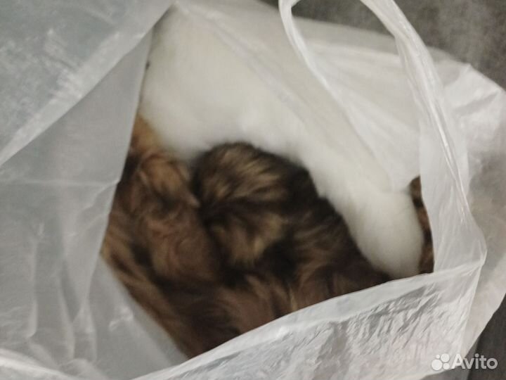 Кусочки меха