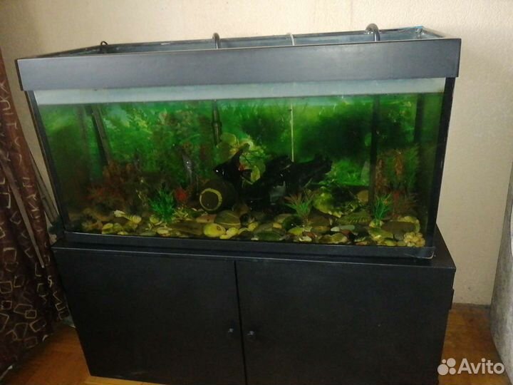 Аквариум