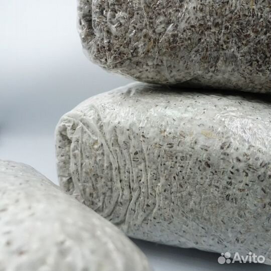 Мицелий Опята зимние