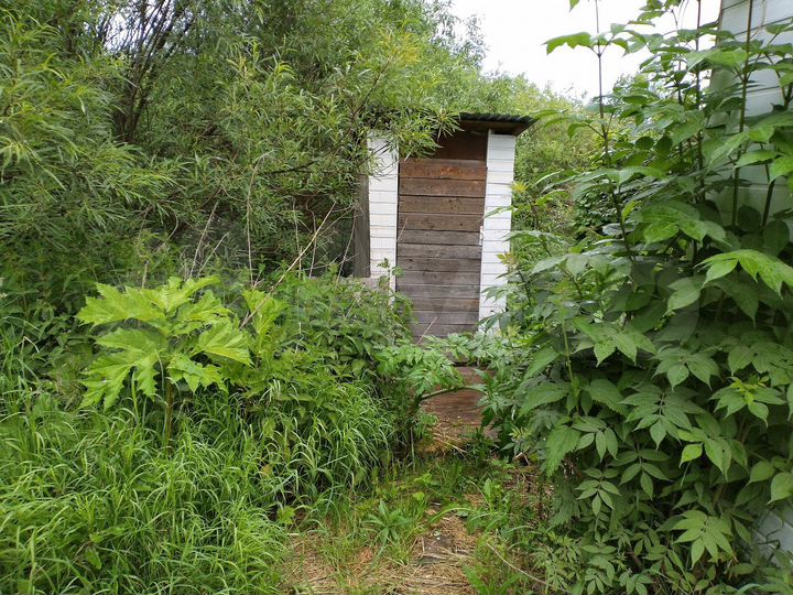 Дача 20 м² на участке 7 сот.