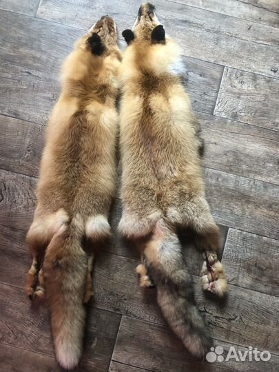 Шкура рыжей лисы