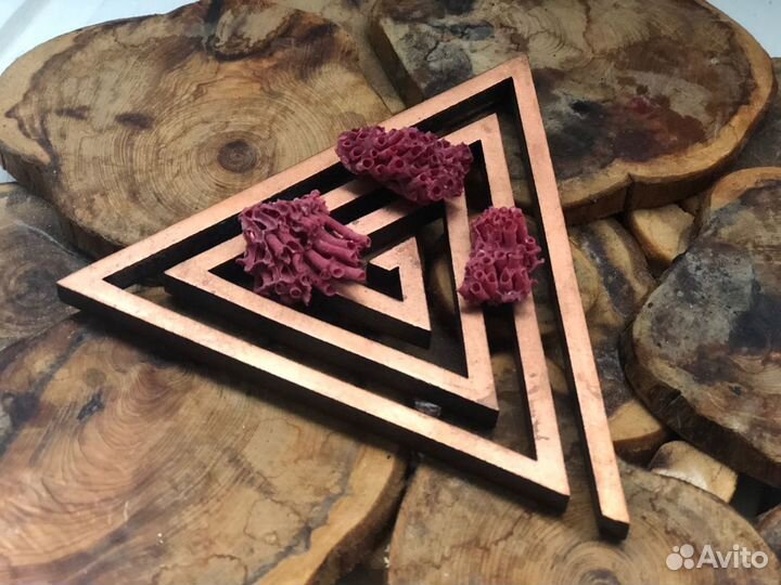 Красный коралл натуральный