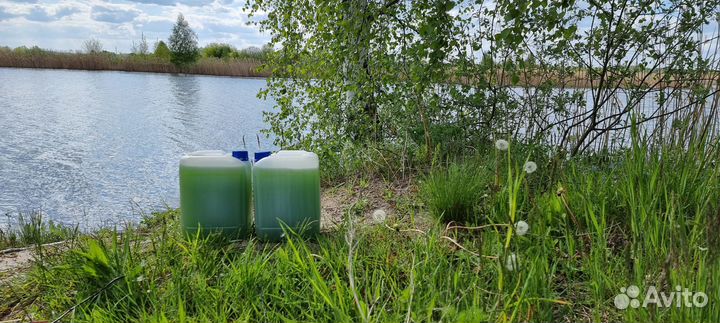 Бактерии для очистки пруда