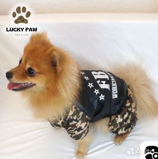 Комбинезон для собаки