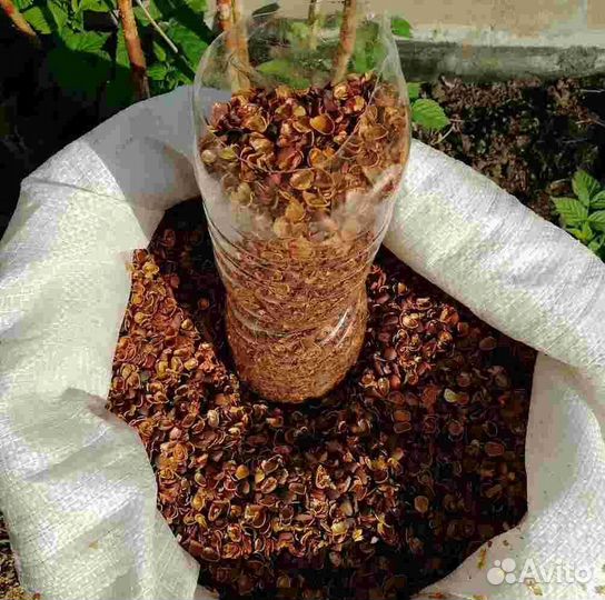 Кора лиственницы