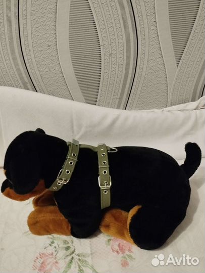 Шлейка для средней собаки