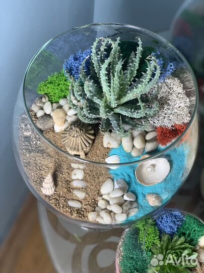 Флорариум с живыми цветами