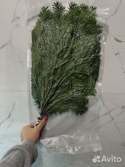 Пихтовый веник