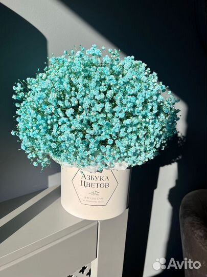 Гипсофила букет цветы