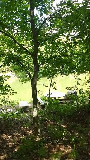 Дом 90 м² на участке 6 сот.