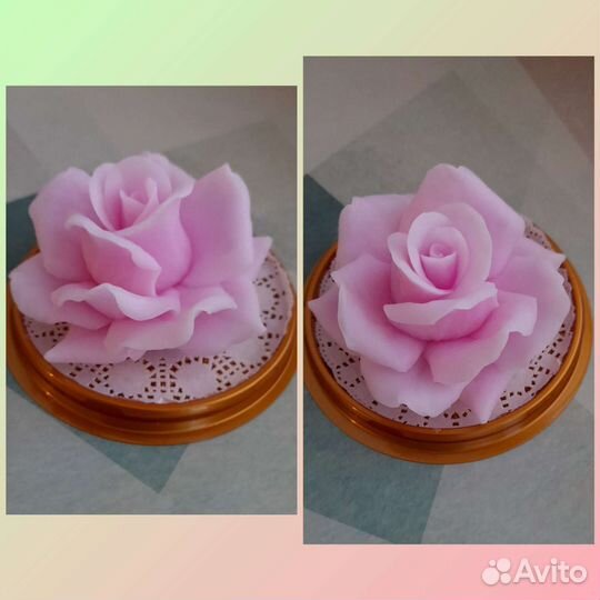 Розы в куполе из мыла