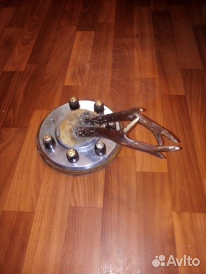 Рога Касули