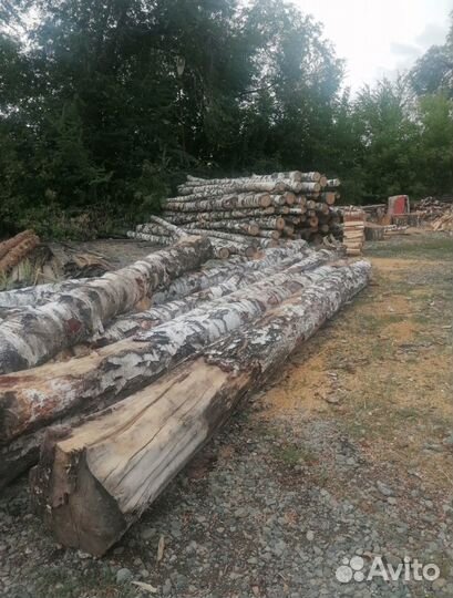 Дрова Берёзы