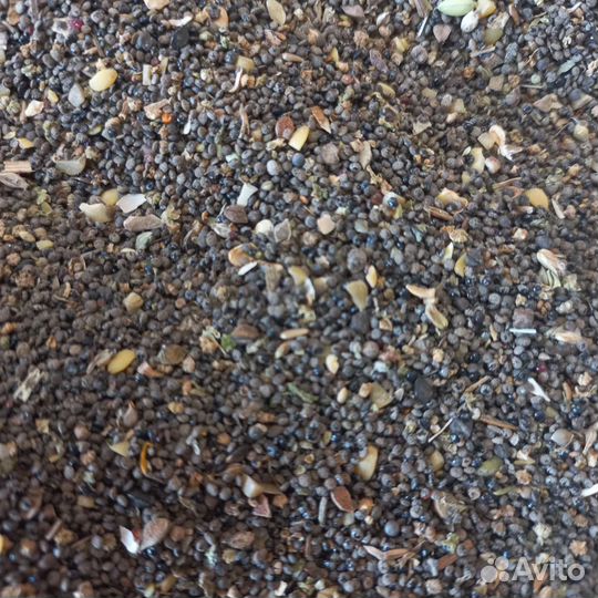 Корм для голубей