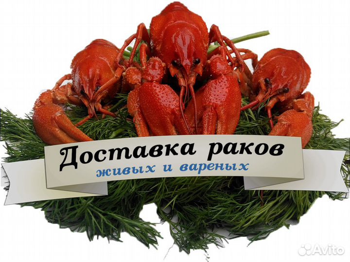 Доставка Вкусных Раков