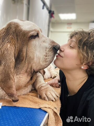 По уходу за животными