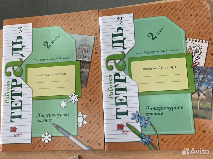 Рабочие тетради Ефросинина литературное чтение