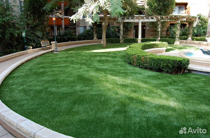 Газонная трава в рулонах в наличии