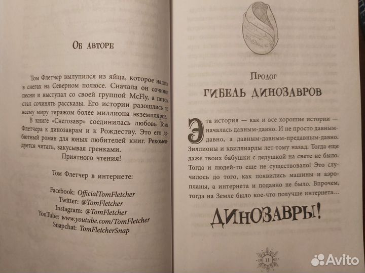 Детская книга Скрипуны