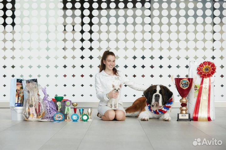 Услуги Хендлера