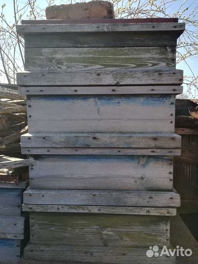 Пчелиные ульи