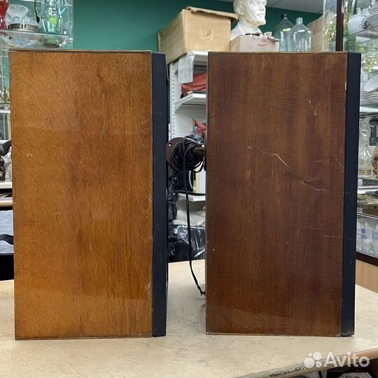 Акустическая система 25ас 109 Колонки Рабочие