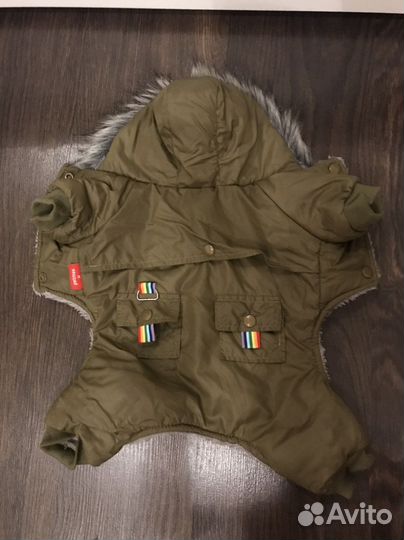 Одежда для собак