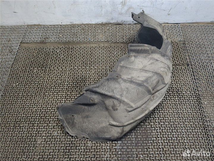 Защита арок (подкрылок) Lexus HS, 2010