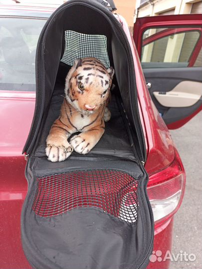 Переноска для кошек бу