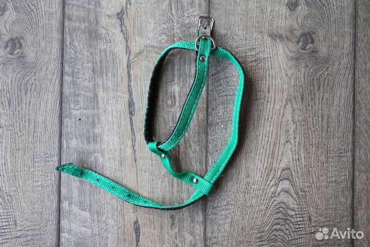 Поводки и шлейки