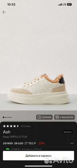 Кеды ash зимние