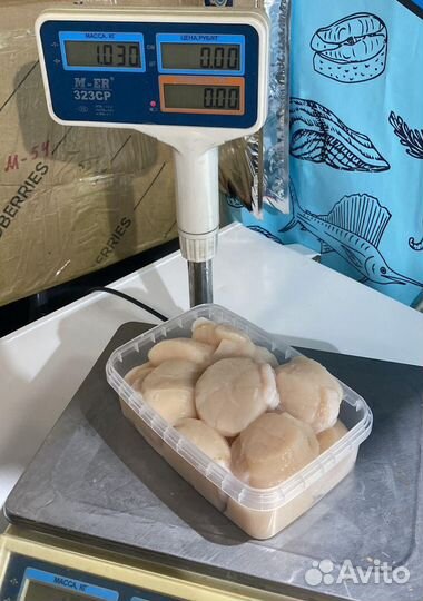 Гребешки Сахалин