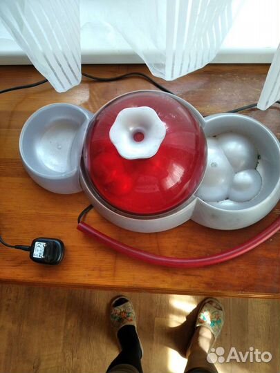 Питьевой фонтан для животных